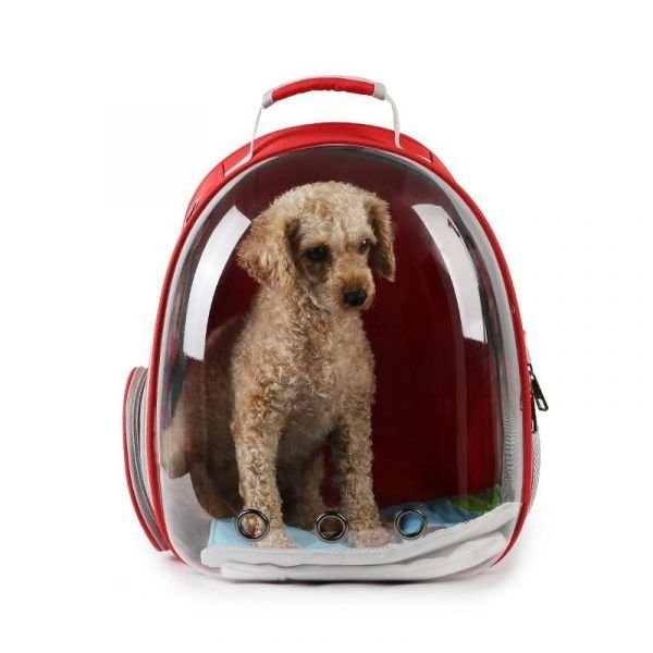 Morral para perros y gatos con cubierta en acrilico 1