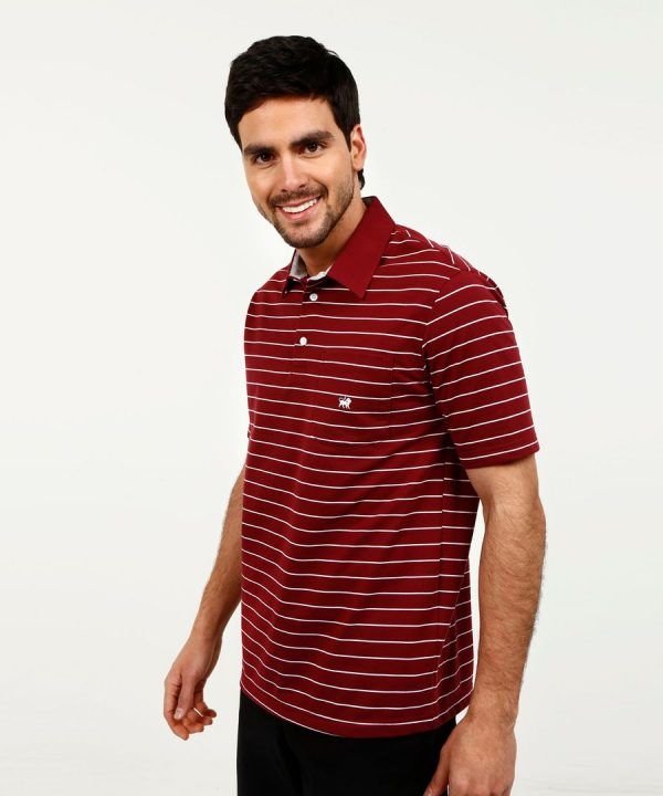 Polo Cuello Duro Bicolor vinotinto