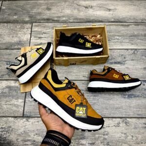 COLECCION CAT FALCON PREMIUM + CAJA