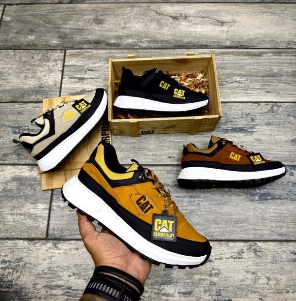 COLECCION CAT FALCON PREMIUM + CAJA