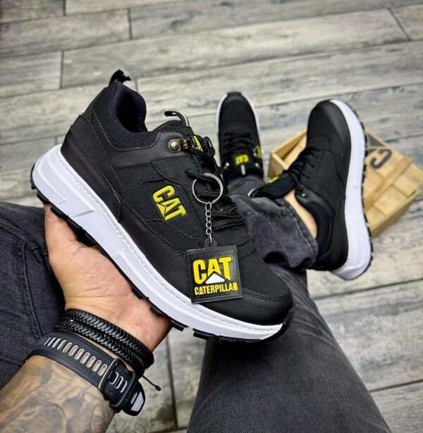 COLECCION CAT FALCON PREMIUM + CAJA - Imagen 5