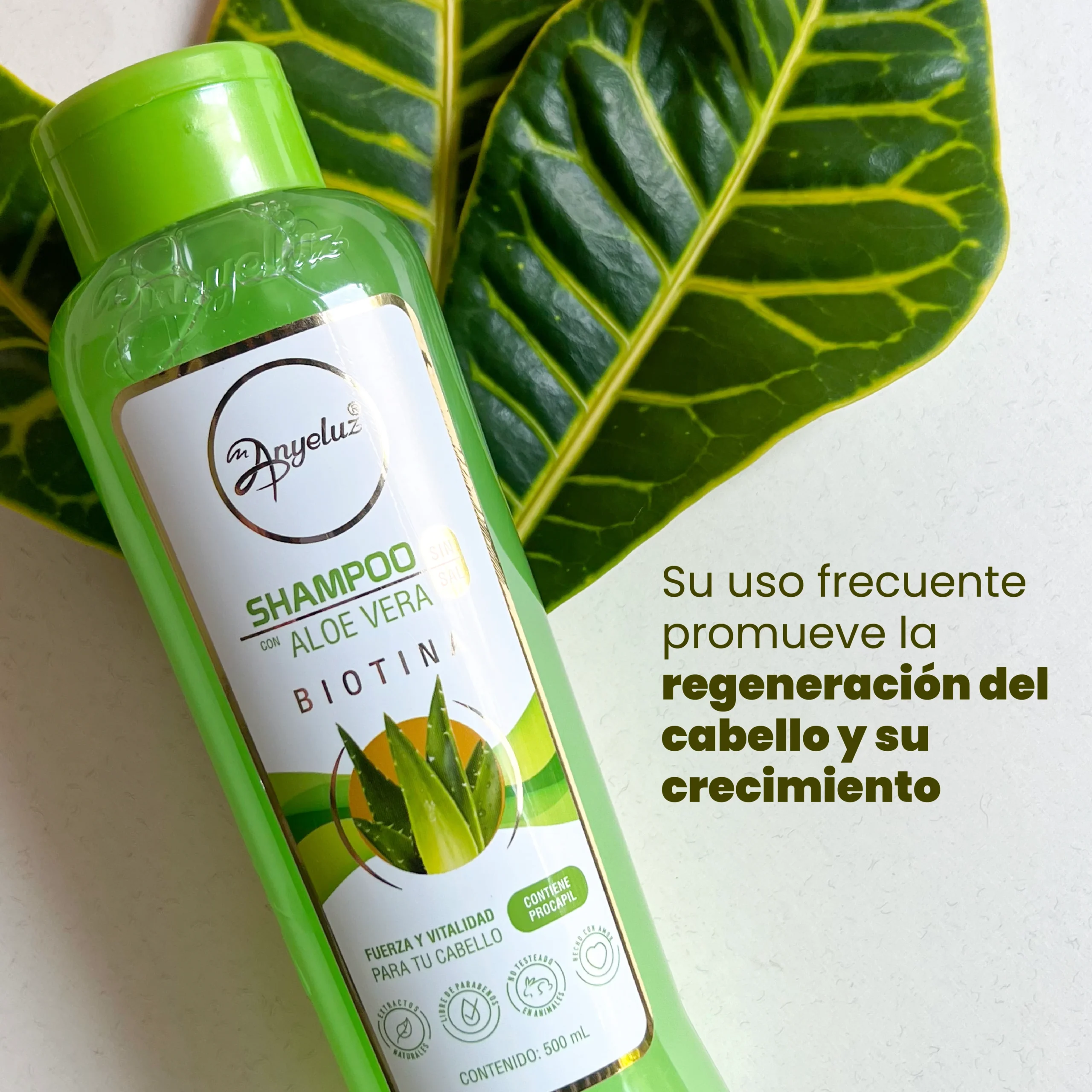 SHAMPOO ALEO VERA LISTING 3 scaled