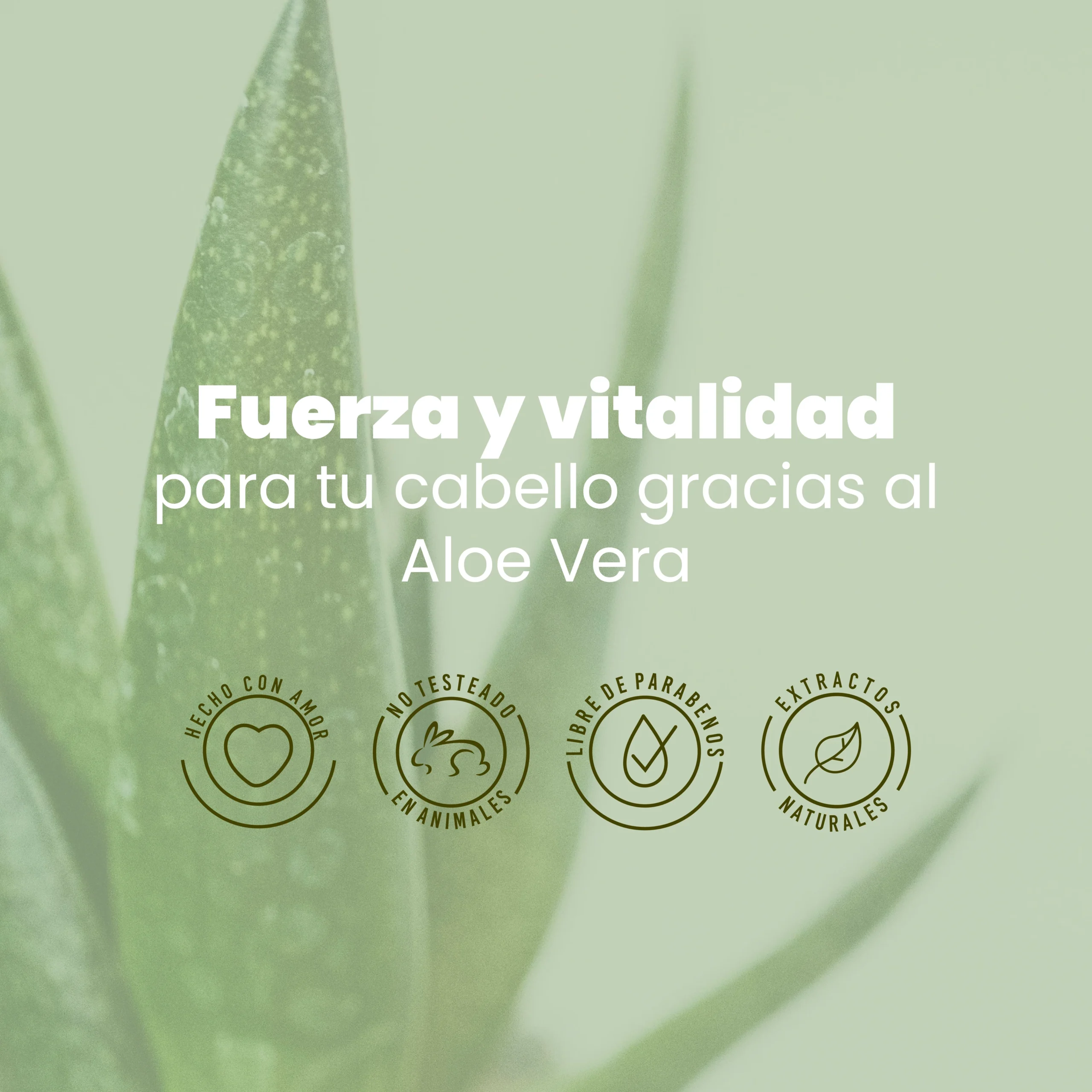SHAMPOO ALEO VERA LISTING 4 scaled