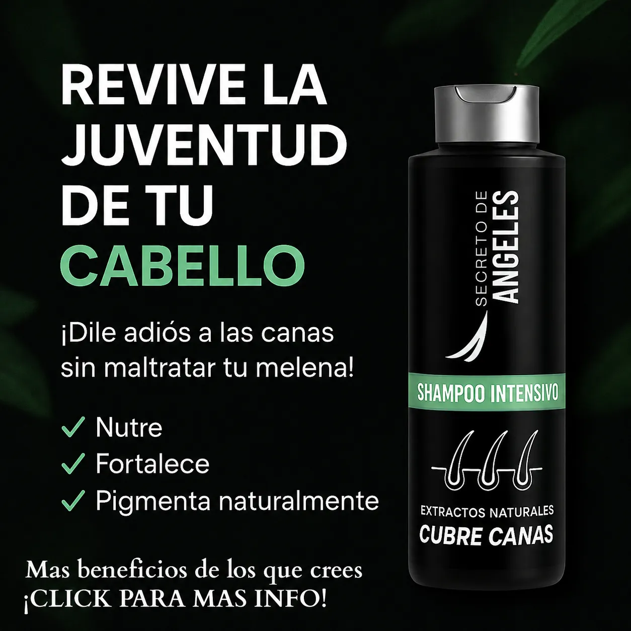 Shampoo Cubre Canas