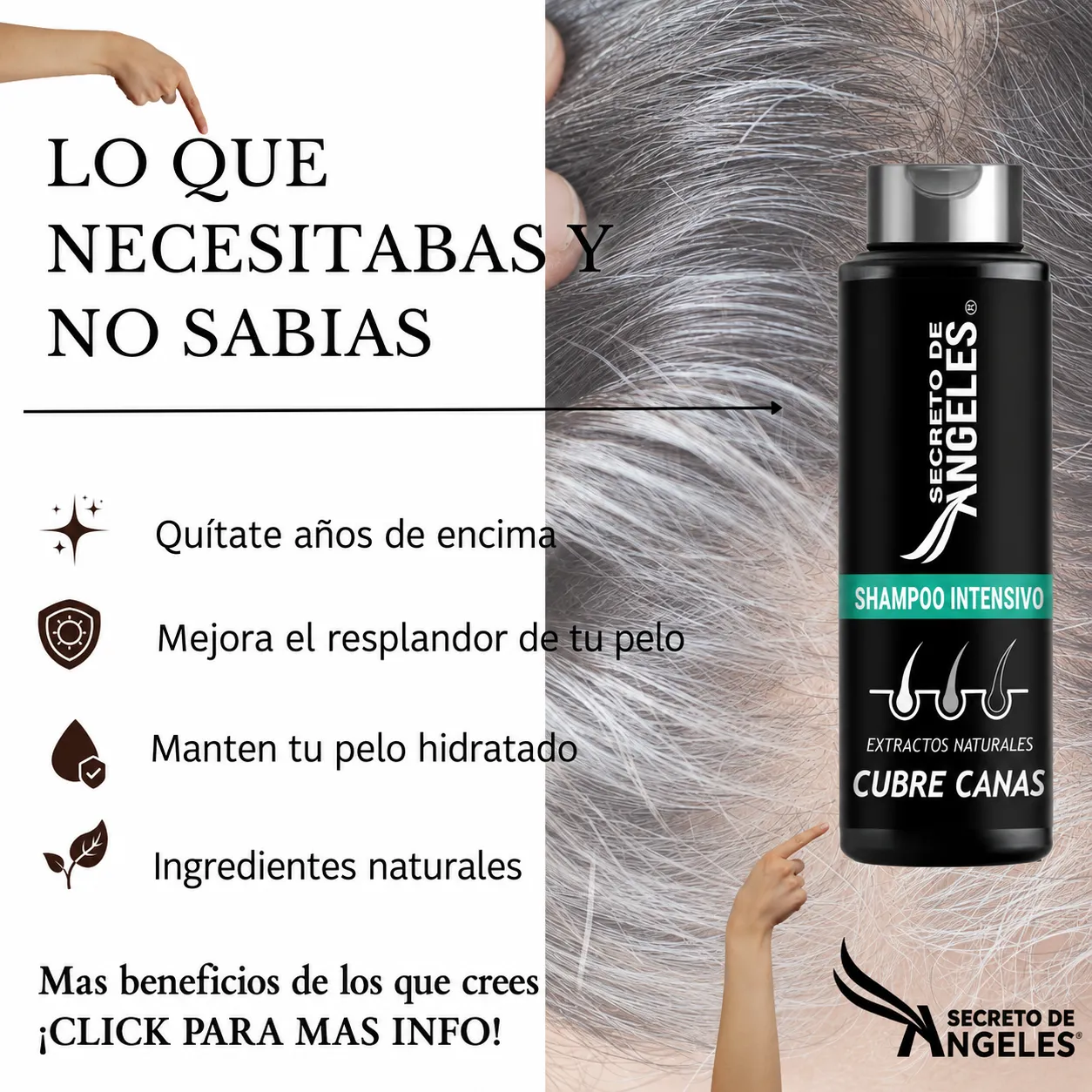 Shampoo Cubre Canas - Imagen 6